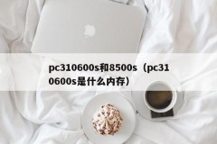 pc 310600s and 8500s (what memory is pc 310600s)