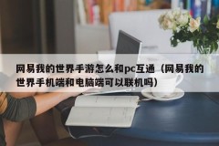 How does Netease My World mobile game communicate with pc (Can Netease My World mobile phone and computer terminals be connected?)