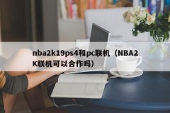 nba2k19ps4 and pc online (Can NBA2K online cooperate)