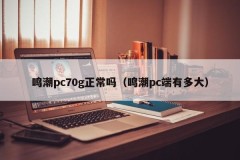 Is Mingchao PC 70g normal (how big is Mingchao PC terminal)