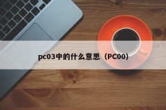 What does PC03 mean (PC00)