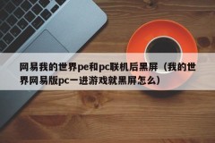 Netease My World PE and PC have a black screen after they are connected (how about the Netease version of My World PC has a black screen as soon as it enters the game)
